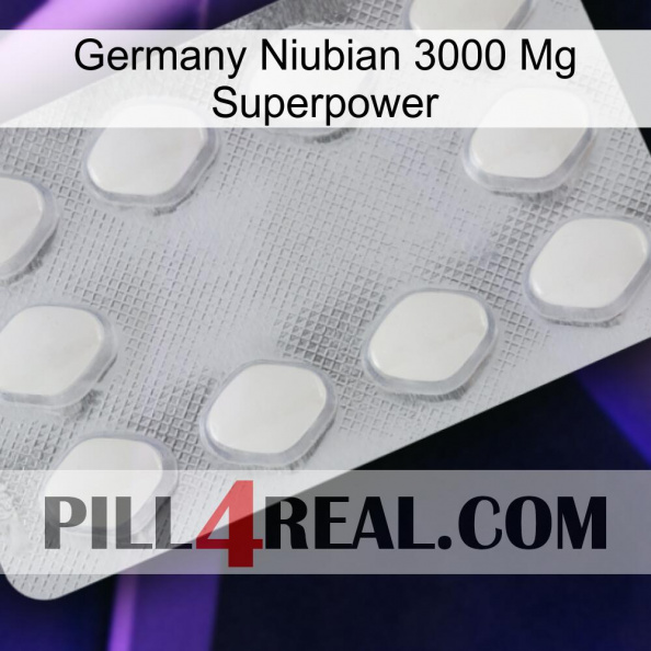 Germany Niubian 3000 Mg Superpower 16.jpg